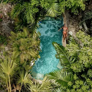 Anand Ecoaldea , Puerto Morelos México